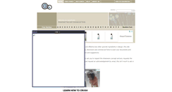 Desktop Screenshot of liquidfonts.com